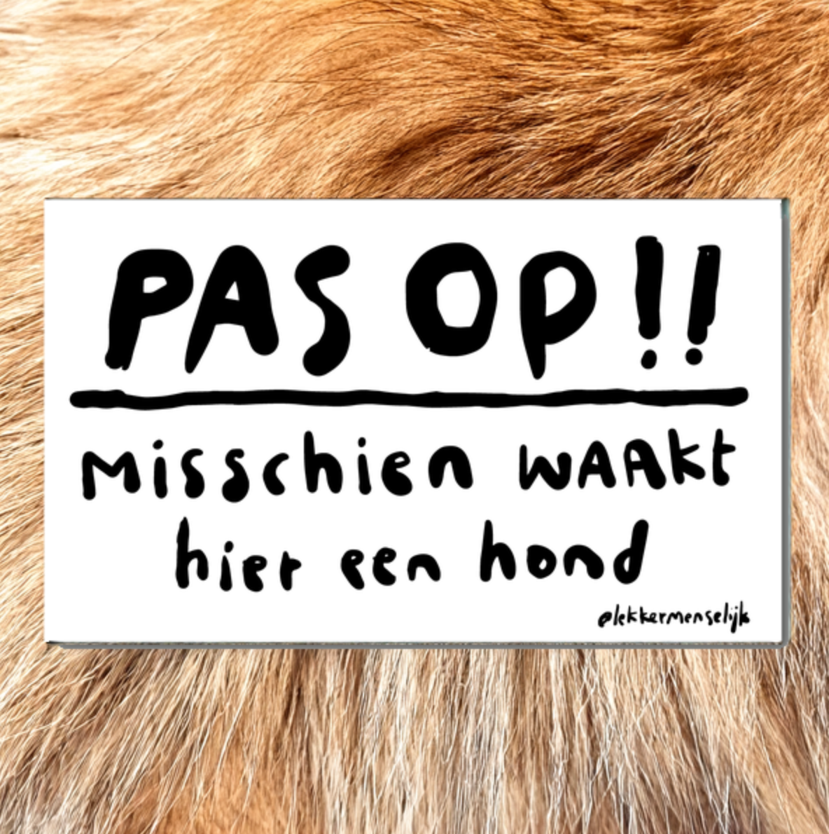 PAS OP!! misschien waakt hier een hond
